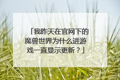 我昨天在官网下的魔兽世界为什么进游戏一直显示更新?