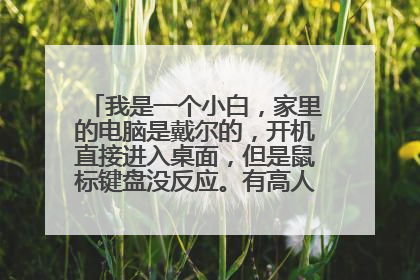 我是一个小白,家里的电脑是戴尔的,开机直接进入桌面,但是鼠标键盘没反应。有高人指点迷津吗?
