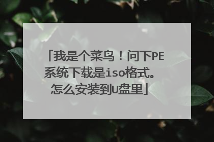 我是个菜鸟!问下PE系统下载是iso格式。怎么安装到U盘里