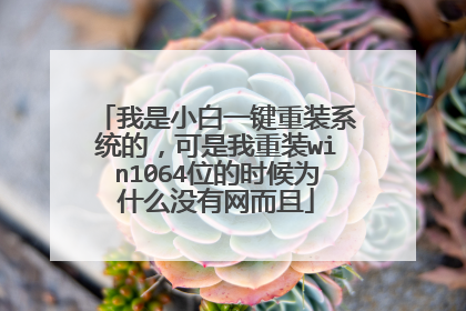 我是小白一键重装系统的,可是我重装win1064位的时候为什么没有网而且