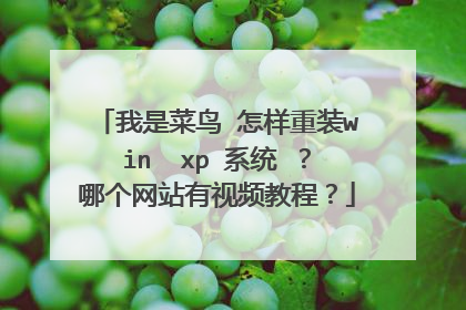 我是菜鸟 怎样重装win xp 系统 ?哪个网站有视频教程?