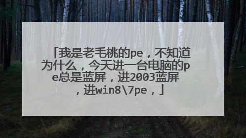 我是老毛桃的pe，不知道为什么，今天进一台电脑的pe总是蓝屏，进2003蓝屏，进win87pe，