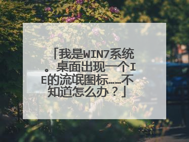 我是WIN7系统 。桌面出现一个IE的流氓图标……不知道怎么办?