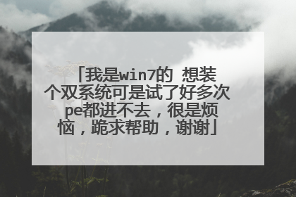 我是win7的 想装个双系统可是试了好多次 pe都进不去，很是烦恼，跪求帮助，谢谢
