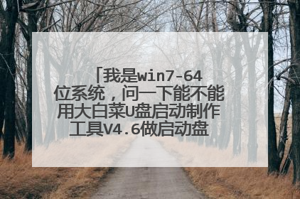我是win7-64位系统,问一下能不能用大白菜U盘启动制作工具V4.6做启动盘啊,说是32位的