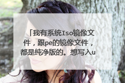 我有系统Iso镜像文件,跟pe的镜像文件,都是纯净版的。想写入u盘自己做启动盘,怎么弄?要第三方软件?