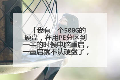 我有一个500G的硬盘,在用PE分区到一半的时候电脑重启,一重启就不认硬盘了,BIOS里只显示