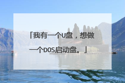 我有一个U盘,想做一个DOS启动盘。