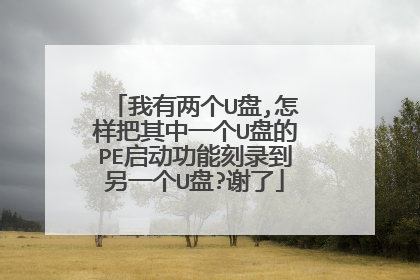 我有两个U盘,怎样把其中一个U盘的PE启动功能刻录到另一个U盘?谢了