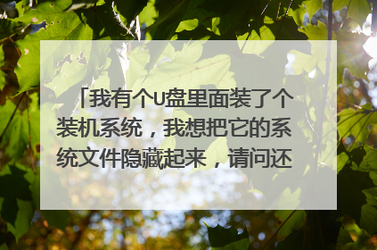 我有个U盘里面装了个装机系统,我想把它的系统文件隐藏起来,请问还可以继续使用(装系统)吗?和存储文件