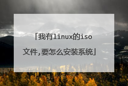 我有linux的iso文件,要怎么安装系统