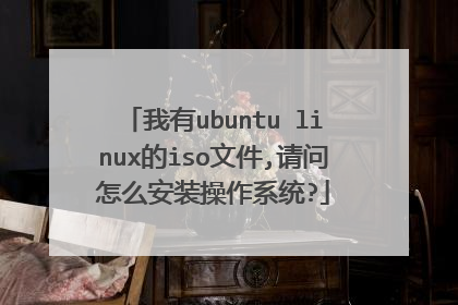 我有ubuntu linux的iso文件,请问怎么安装操作系统?