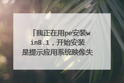 我正在用pe安装win8.1,开始安装是提示应用系统映像失败。该怎么解决急急急,正在等待中,没悬赏了求大神