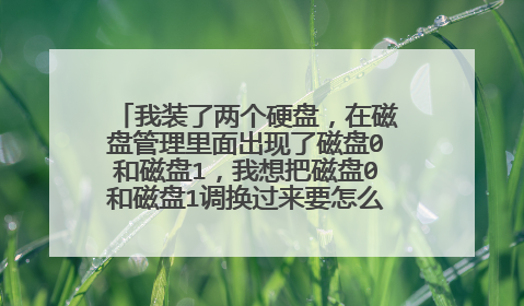 我装了两个硬盘,在磁盘管理里面出现了磁盘0和磁盘1,我想把磁盘0和磁盘1调换过来要怎么办呢`请高手指点下