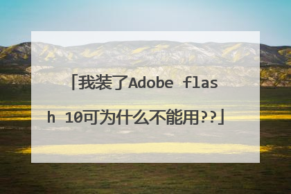 我装了Adobe flash 10可为什么不能用??