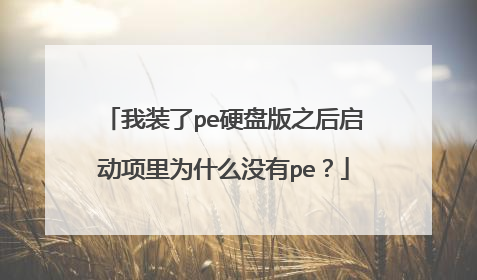 我装了pe硬盘版之后启动项里为什么没有pe?