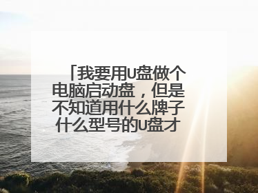 我要用U盘做个电脑启动盘，但是不知道用什么牌子什么型号的U盘才支持，请高手帮忙推荐一款U盘