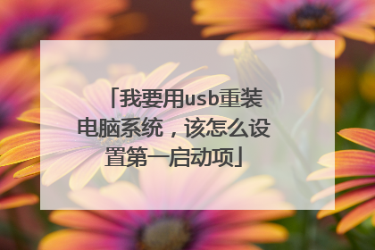 我要用usb重装电脑系统,该怎么设置第一启动项