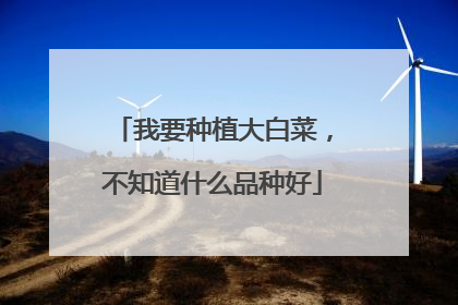 我要种植大白菜,不知道什么品种好