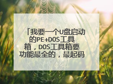 我要一个U盘启动的PE+DOS工具箱,DOS工具箱要功能最全的,最起码能执行 fdisk /mbr的