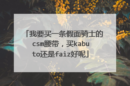 我要买一条假面骑士的csm腰带,买kabuto还是faiz好呢