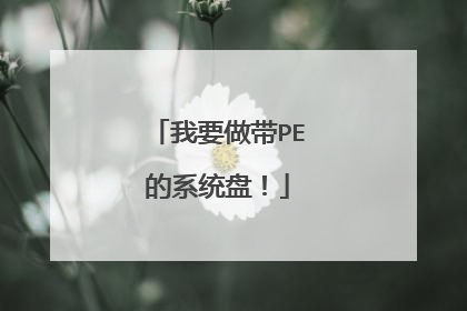 我要做带PE的系统盘！