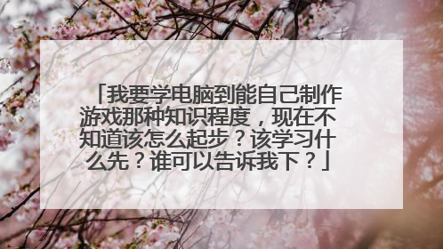 我要学电脑到能自己制作游戏那种知识程度,现在不知道该怎么起步?该学习什么先?谁可以告诉我下?