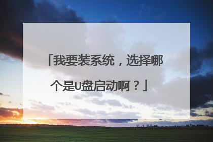 我要装系统,选择哪个是U盘启动啊?