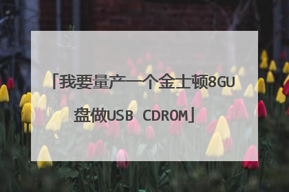 我要量产一个金士顿8GU盘做USB CDROM