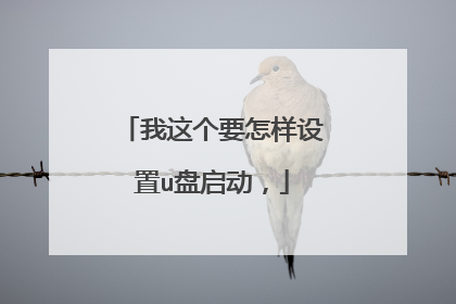 我这个要怎样设置u盘启动,
