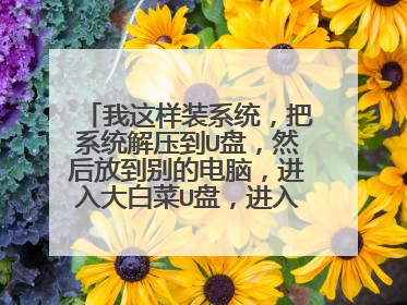 我这样装系统，把系统解压到U盘，然后放到别的电脑，进入大白菜U盘，进入界面，点击[oekey]这个图标