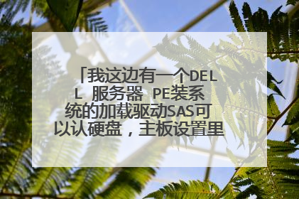 我这边有一个DELL 服务器 PE装系统的加载驱动SAS可以认硬盘,主板设置里找不到SAS硬盘,不能设置启动项。