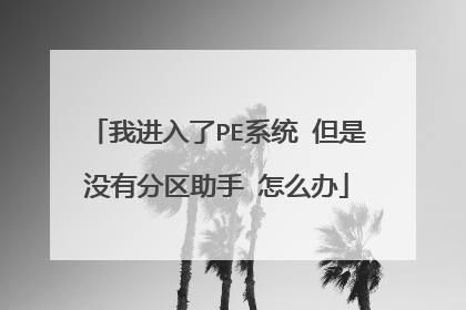 我进入了PE系统 但是没有分区助手 怎么办
