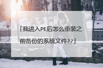 我进入PE后怎么重装之前备份的系统文件??