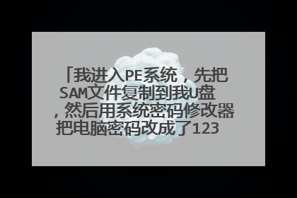 我进入PE系统,先把SAM文件复制到我U盘,然后用系统密码修改器把电脑密码改成了123456,我用