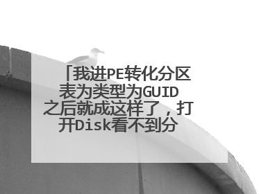 我进PE转化分区表为类型为GUID之后就成这样了，打开Disk看不到分区就是一个空盘，但是打开我的