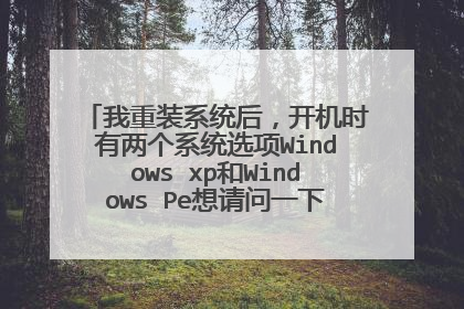我重装系统后,开机时有两个系统选项Windows xp和Windows Pe想请问一下怎样才能卸载Windows Pe这个系统?
