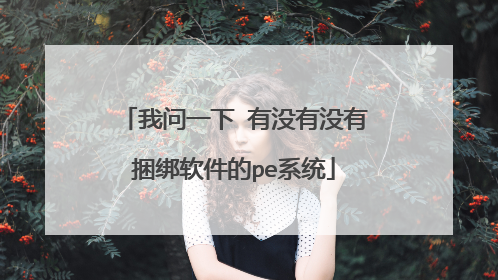 我问一下 有没有没有捆绑软件的pe系统