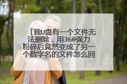我U盘有一个文件无法删除,用360强力粉碎后竟然变成了另一个数字名的文件怎么回事 电脑中也碰见过