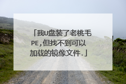 我U盘装了老桃毛PE,但找不到可以加载的镜像文件.