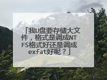我U盘要存储大文件，格式是调成NTFS格式好还是调成exfat好呢？