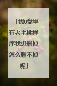 我U盘里有老毛桃程序我想删掉怎么删不掉呢