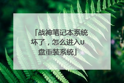 战神笔记本系统坏了,怎么进入U盘重装系统