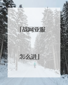 战网亚服怎么进