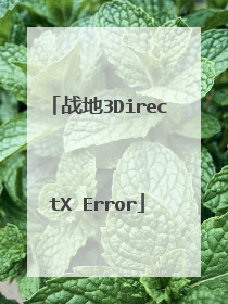 战地3DirectX Error