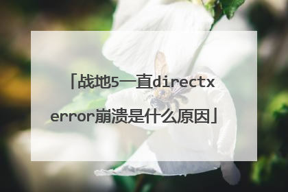 战地5一直directxerror崩溃是什么原因