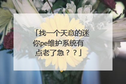 找一个天意的迷你pe维护系统有点老了急??