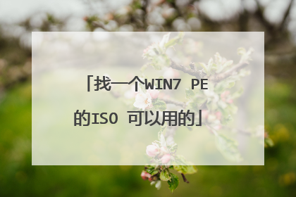 找一个WIN7 PE的ISO 可以用的