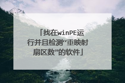 找在winPE运行并且检测“重映射扇区数”的软件