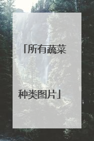 所有蔬菜种类图片